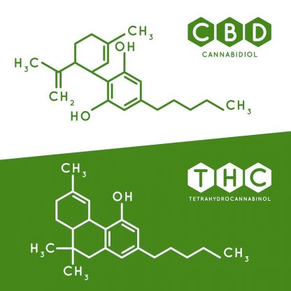 Similarities between CBD and THC