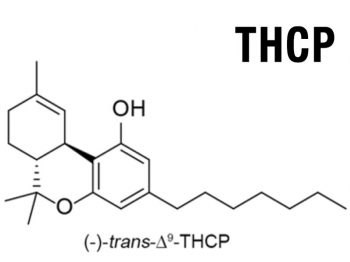 THCP - A complte guide to the cannabinoid preparation of THCP